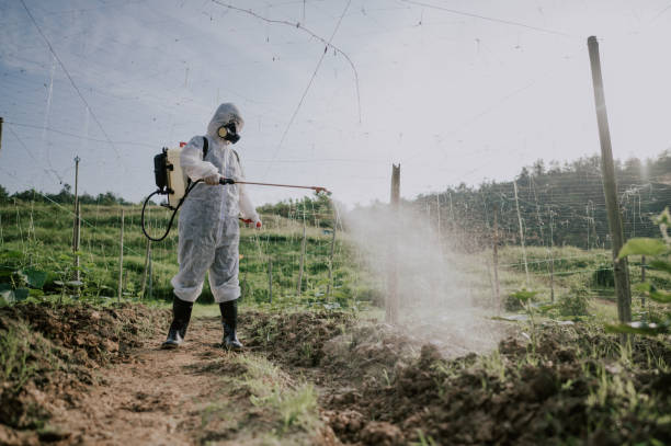 Best Pest Control for Homes  in St Peter, MN