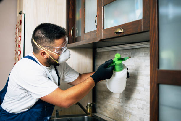 Best Pest Removal Services  in St Peter, MN