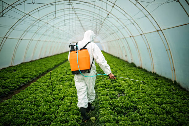 Best Best Pest Control Near Me  in St Peter, MN