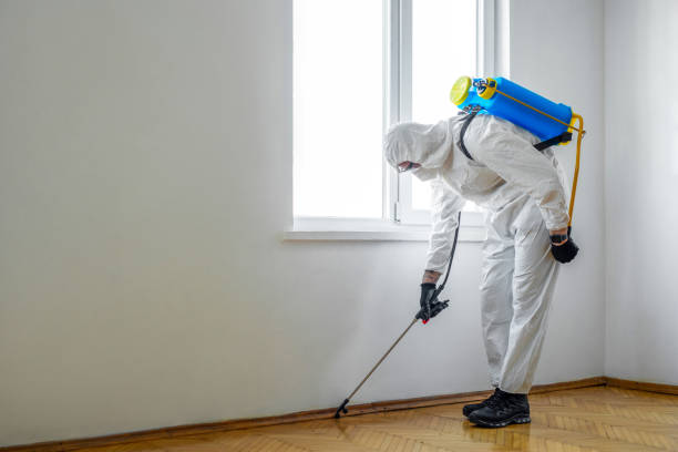 Best Termite Control Services  in St Peter, MN