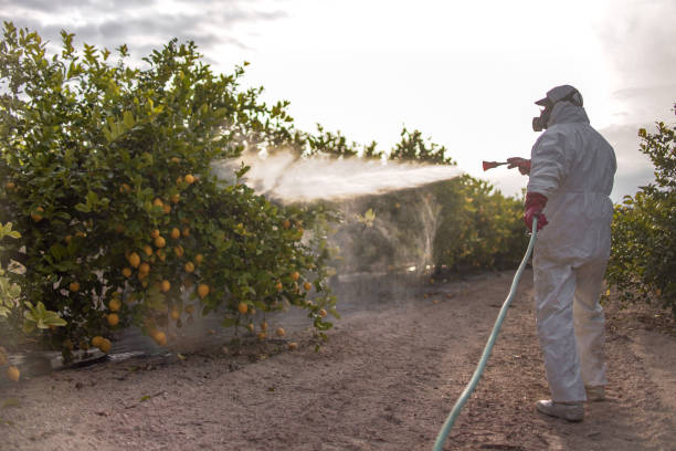 Reliable St Peter, MN Pest Control Solutions