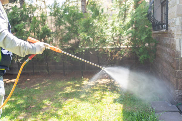 Best Flea Control Services  in St Peter, MN