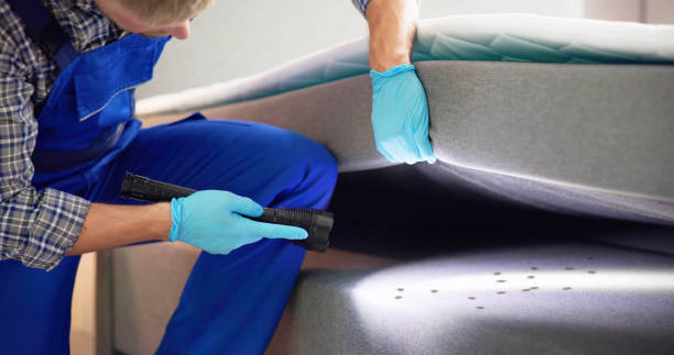 Best Local Pest Control Services  in St Peter, MN