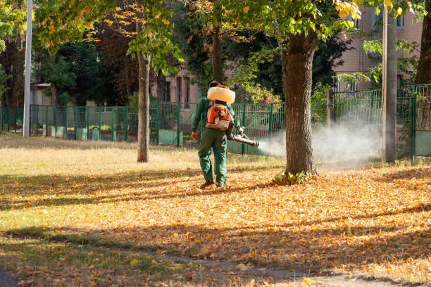 Best Rat Extermination Near Me  in St Peter, MN