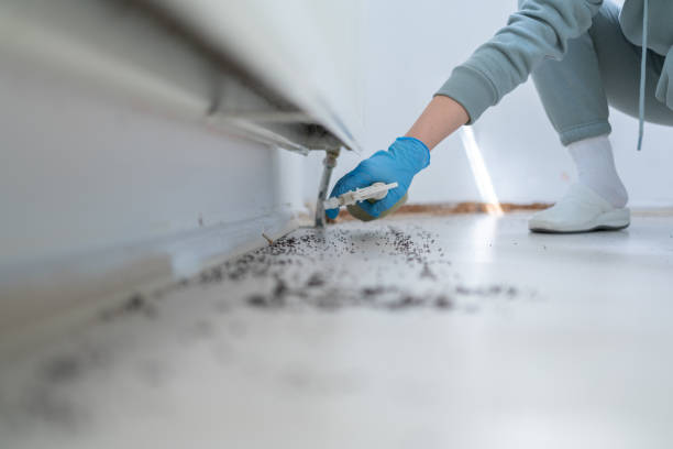 Pest Control Cost in St Peter, MN