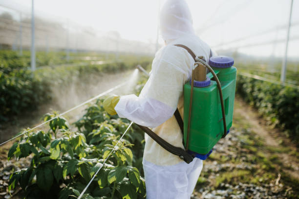  St Peter, MN Pest Control Pros